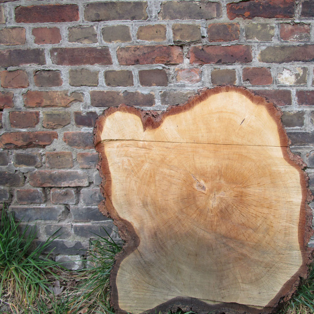 Qualität aus Norddeutschland